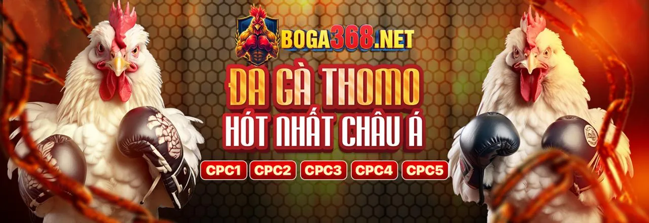 Các loại chương trình đối tác qh88